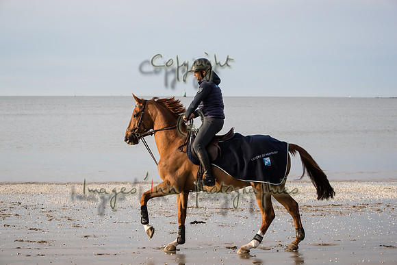 20190517_EKL_0007