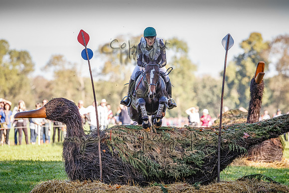 20141018_EKL_0067