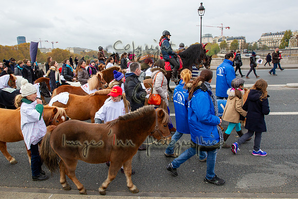 20131124_EKL_0085