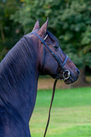 20081002_EKL_0020