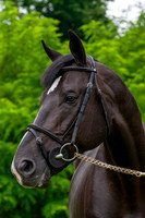 20080607_EKL_0089