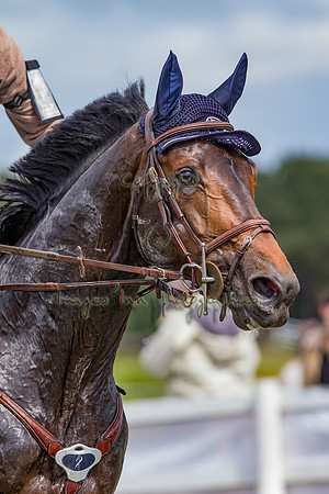 20140524_EKL_0242