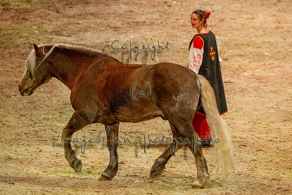20121103_EKL_0260