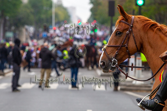20131124_EKL_0056