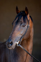 20080724_EKL_0009
