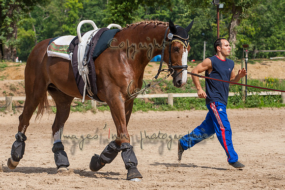 20110821_EKL_0018