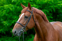 20080607_EKL_0067