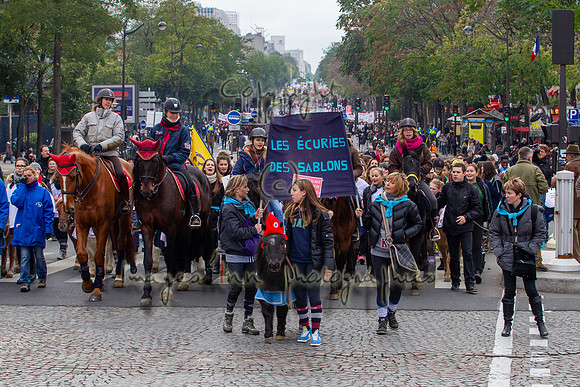 20131124_EKL_0078