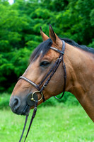 20080607_EKL_0040