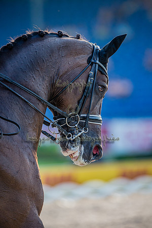 20150813_EKL_0398