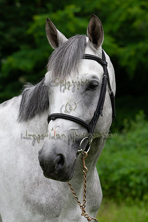 20080607_EKL_0027