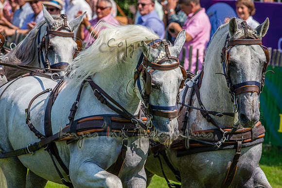 20150822_EKL_0094