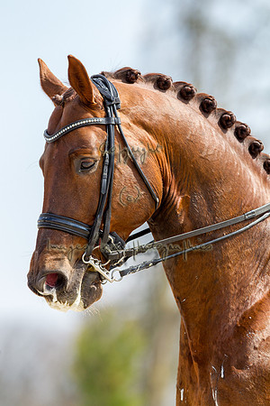20130407_EKL_0056