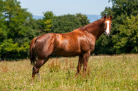 20080724_EKL_0002