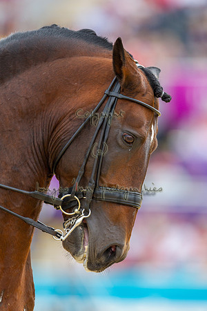 20120807_EKL_0120