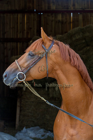 20120902_EKL_0212