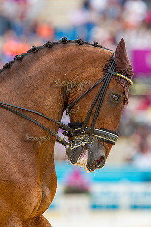 20120802_EKL_0184