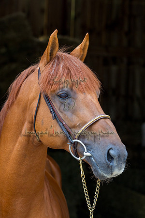 20120902_EKL_0214