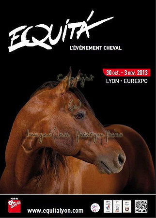 Lyon 2013 Equita