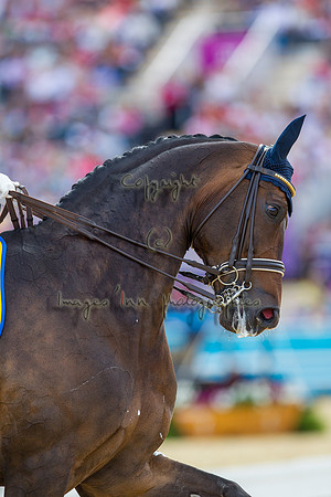 20120803_EKL_0065