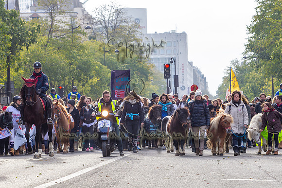 20131124_EKL_0025