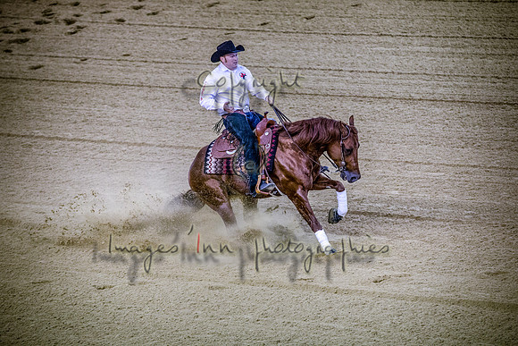 20140828_EKL_0103