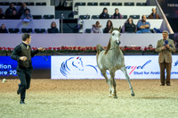 20121208_EKL_0005