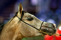 20121208_EKL_0002