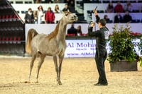 20121208_EKL_0006