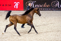 20121208_EKL_0009