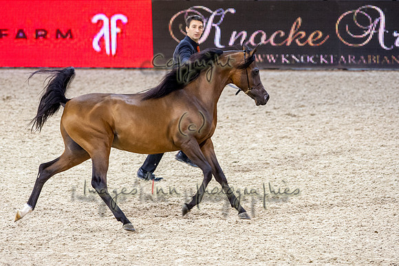 20121208_EKL_0009