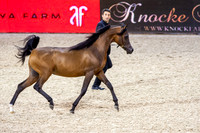 20121208_EKL_0008
