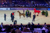 20121208_EKL_0014