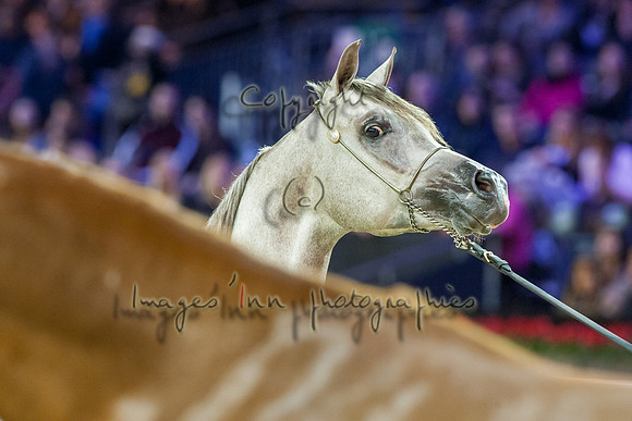 20121208_EKL_0042