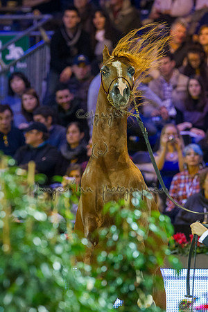 20121208_EKL_0095