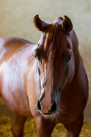 20100810_EKL_0001