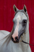 20100810_EKL_0006