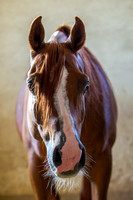 20100810_EKL_0002