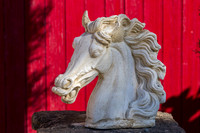 20100810_EKL_0004