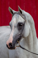 20100810_EKL_0008
