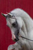 20100810_EKL_0012
