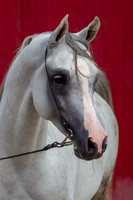 20100810_EKL_0017