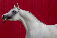 20100810_EKL_0024