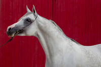 20100810_EKL_0025