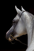 20100810_EKL_0030