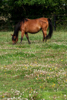 20060805_EKL_0001