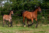 20060805_EKL_0013