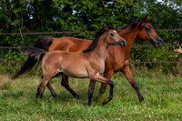20060805_EKL_0017