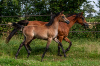 20060805_EKL_0018