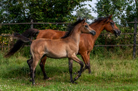 20060805_EKL_0020